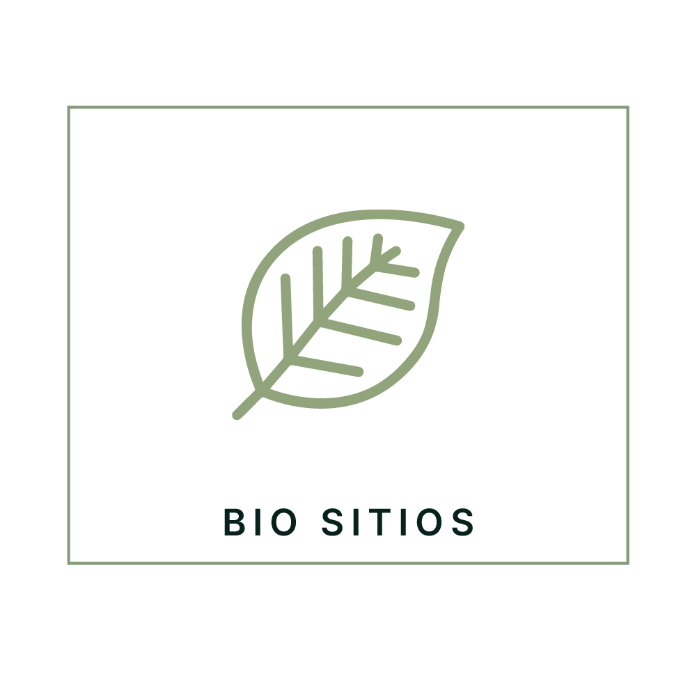 Icono - Caroveni Internacional Villarrica - Biositios