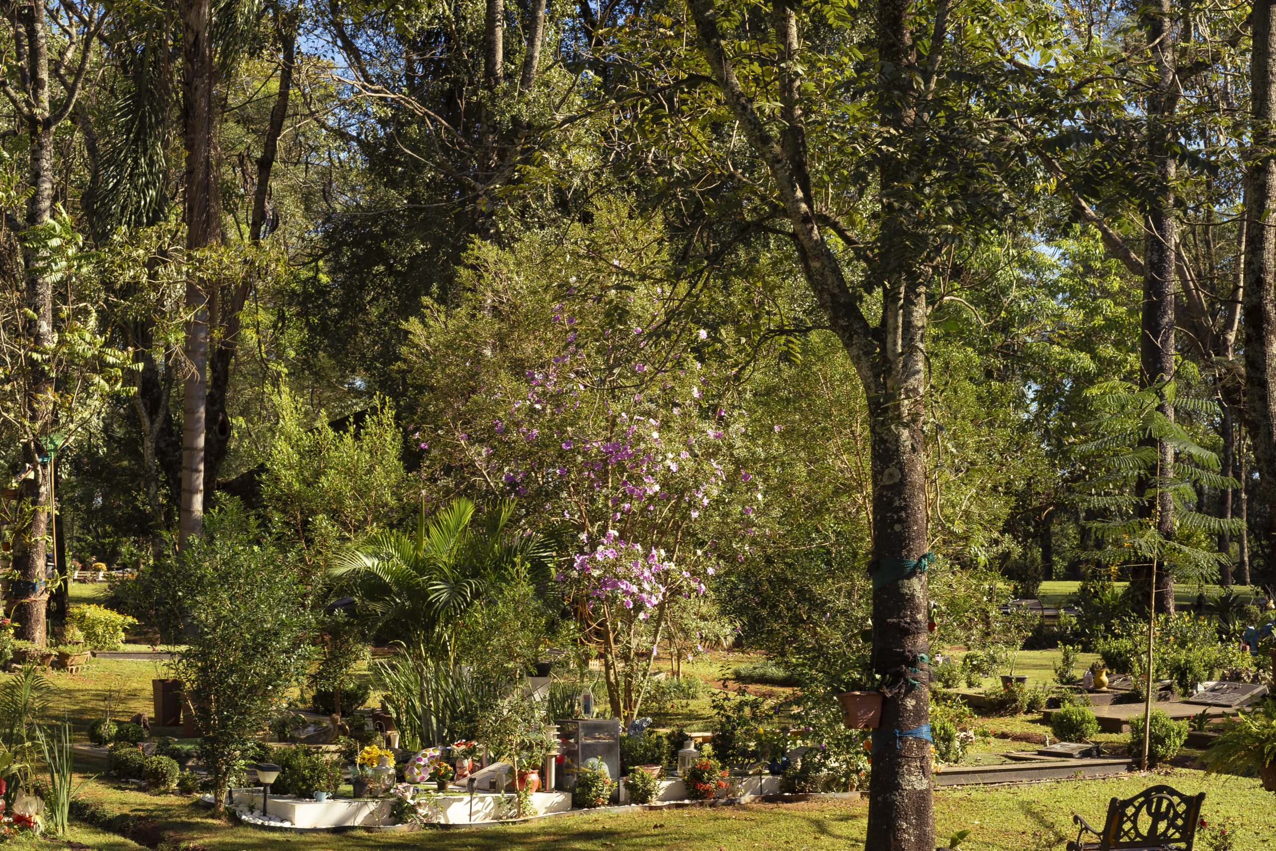 Caroveni internacional - Foto del paisaje en Cementerio - Sepelios - Biositios
