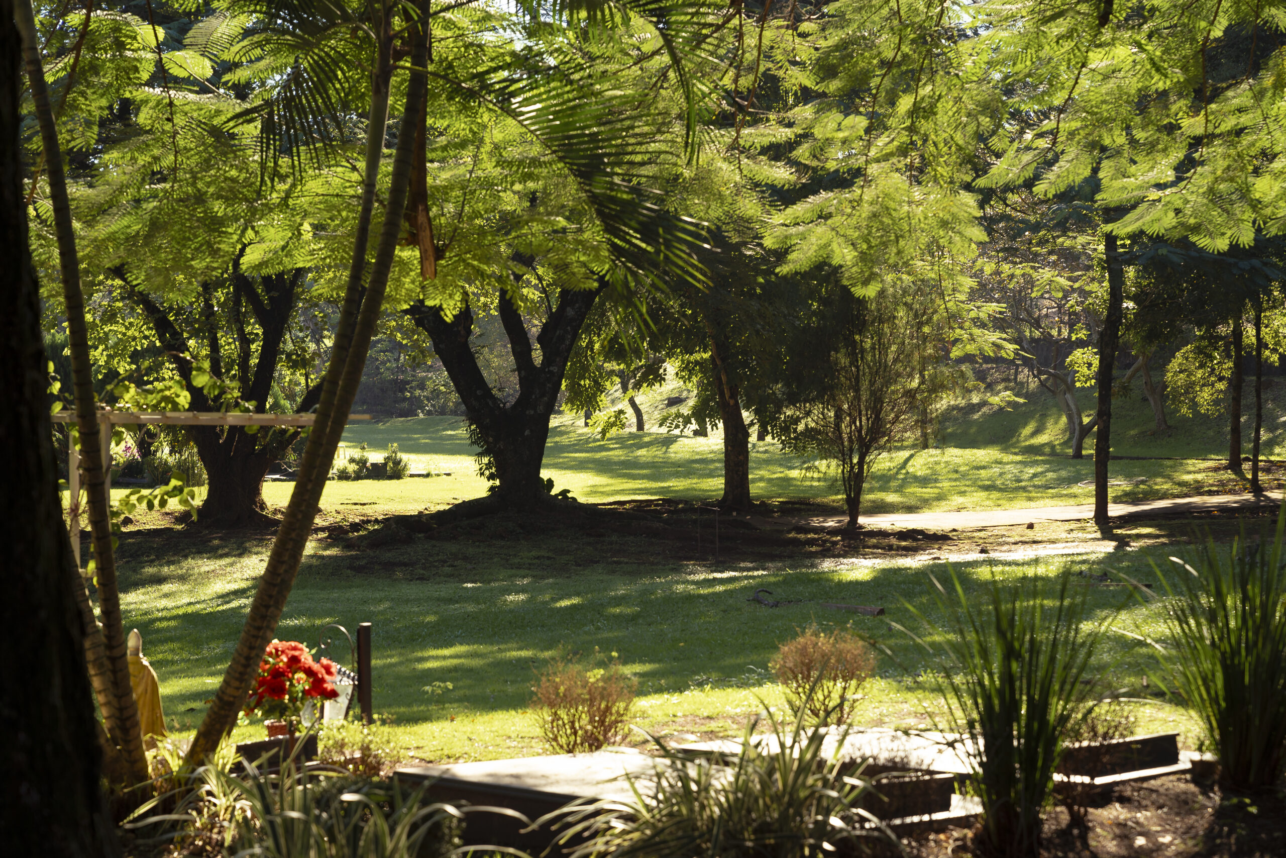 Caroveni internacional - Foto del paisaje en Cementerio - Sepelios - Biositios