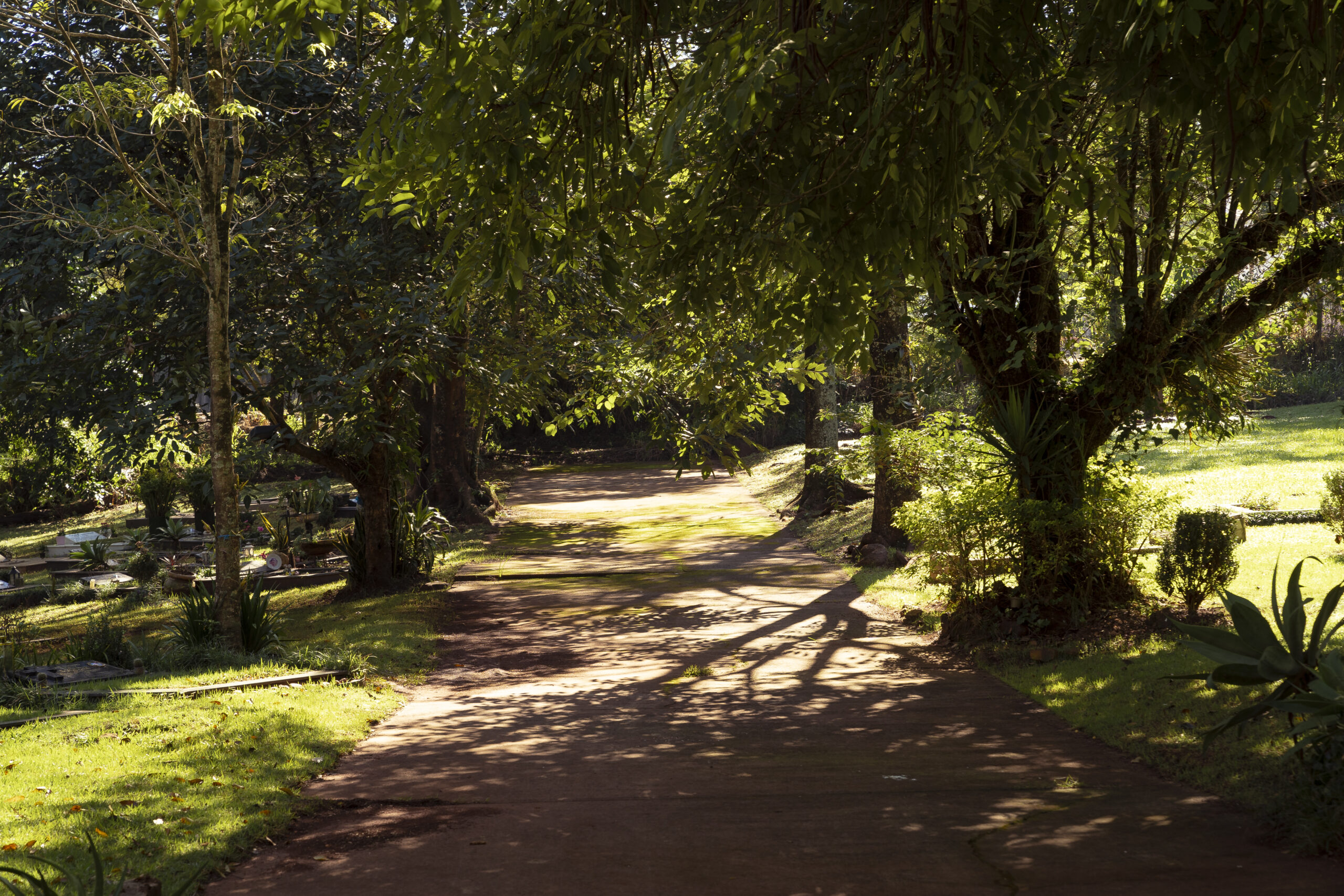 Caroveni internacional - Foto de paisaje - Sepelios - Biositios - Salones velatorios - Cementerios - Obituarios