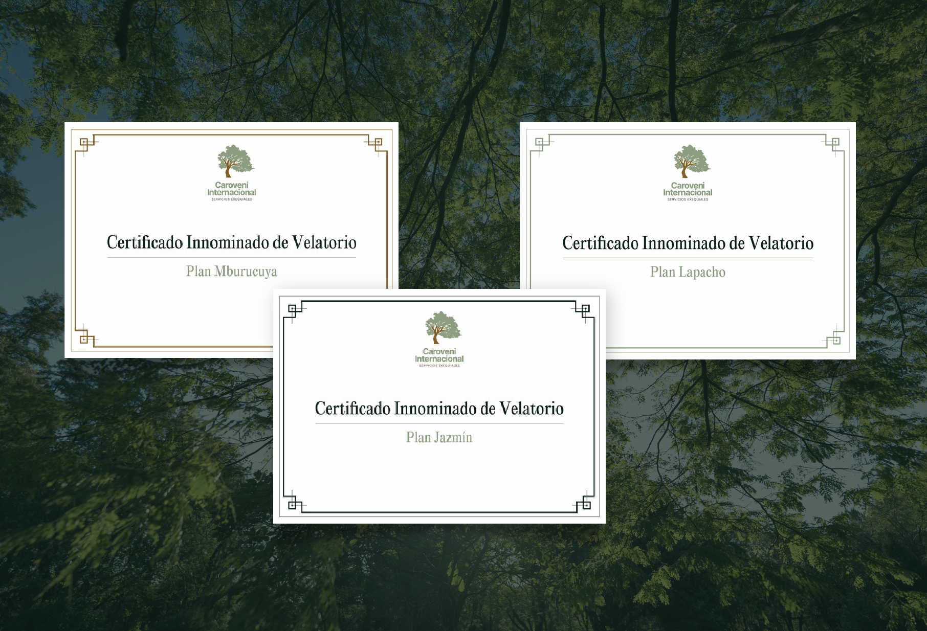 Caroveni internacional - Foto de certificados de velatorio - Sepelios - Biositios - Salones velatorios - Cementerios